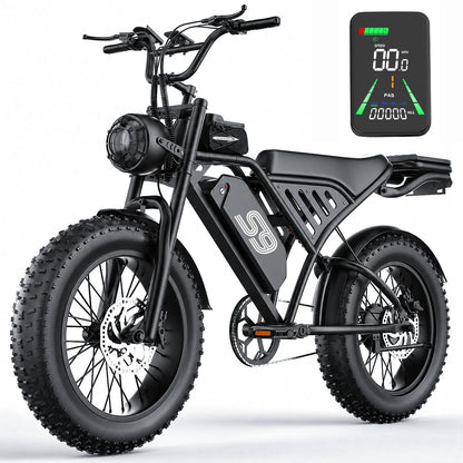 ApexRover 20 inch fat tire electric bike