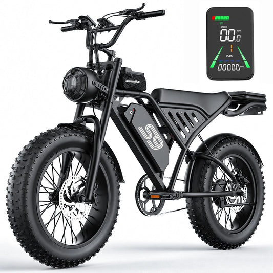 ApexRover 20 inch fat tire electric bike