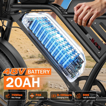 ApexRover fat tire electric bike frame detail