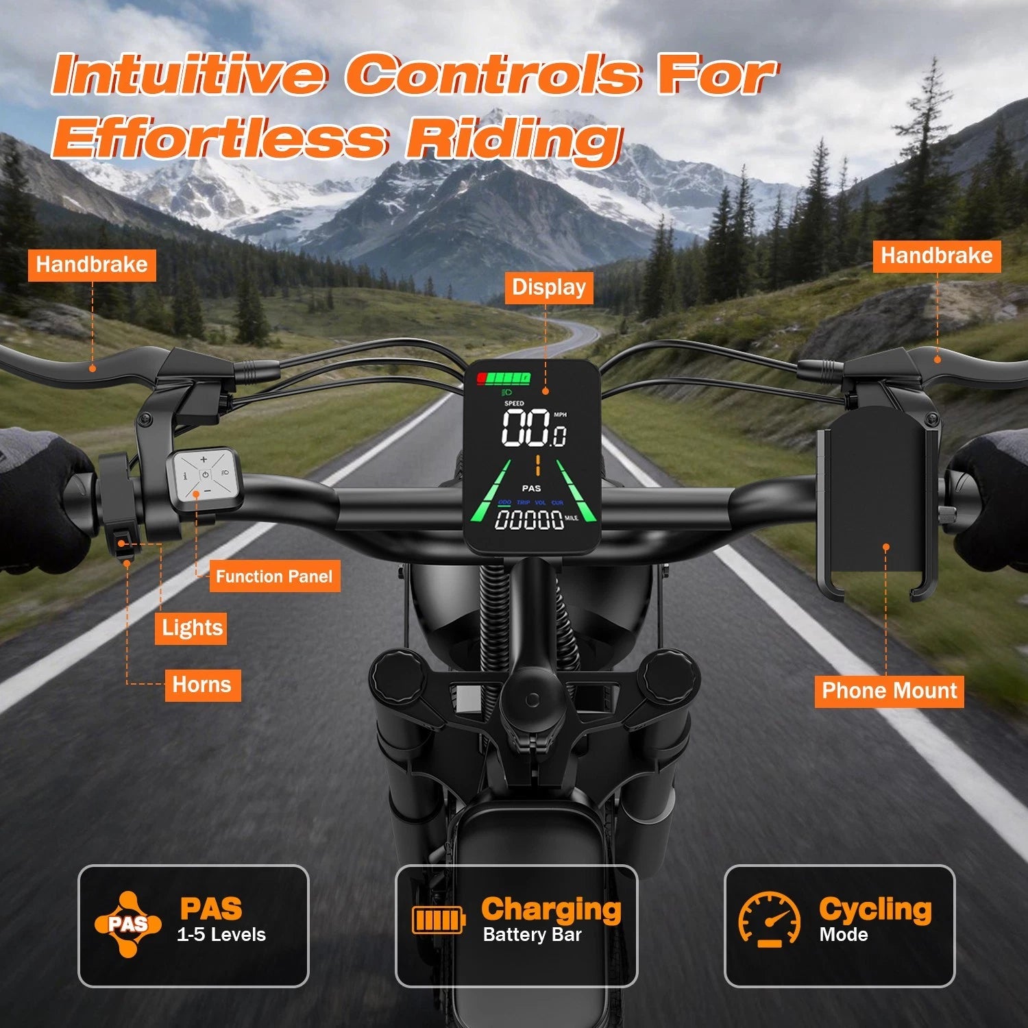 ApexRover 20 inch electric bike fat tire detail