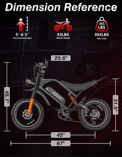 RidgeRacer electric dirt bike controls and display