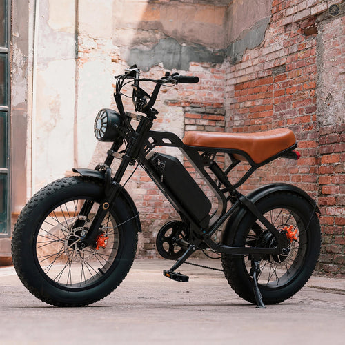 TrailVolt 1500 full-suspension fat tire electric bike